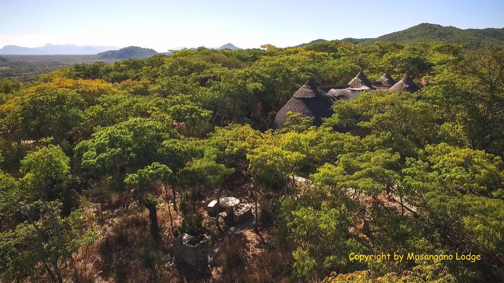 Musangano Lodge Odzi Eksteriør bilde